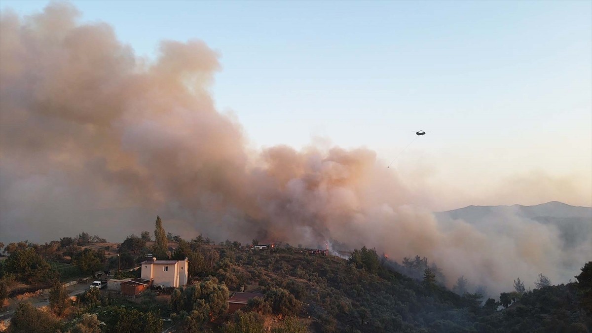 Muğla'nın Milas ilçesinde çıkan orman yangınına havadan ve karadan müdahale ediliyor.