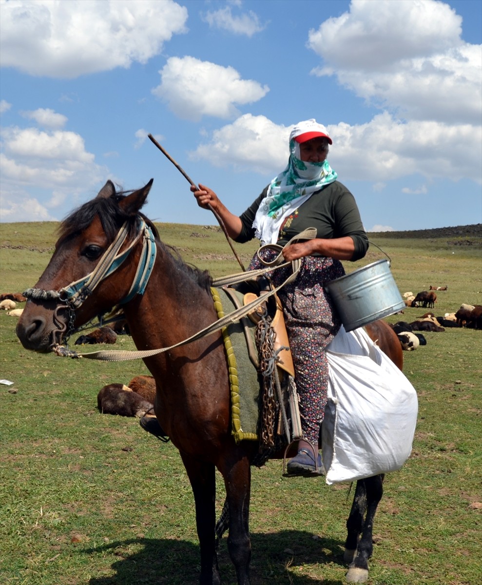 Muş'un Varto ilçesinde berivanlar (süt sağan kadın), sıcak havaya rağmen her gün atlarla yaklaşık...