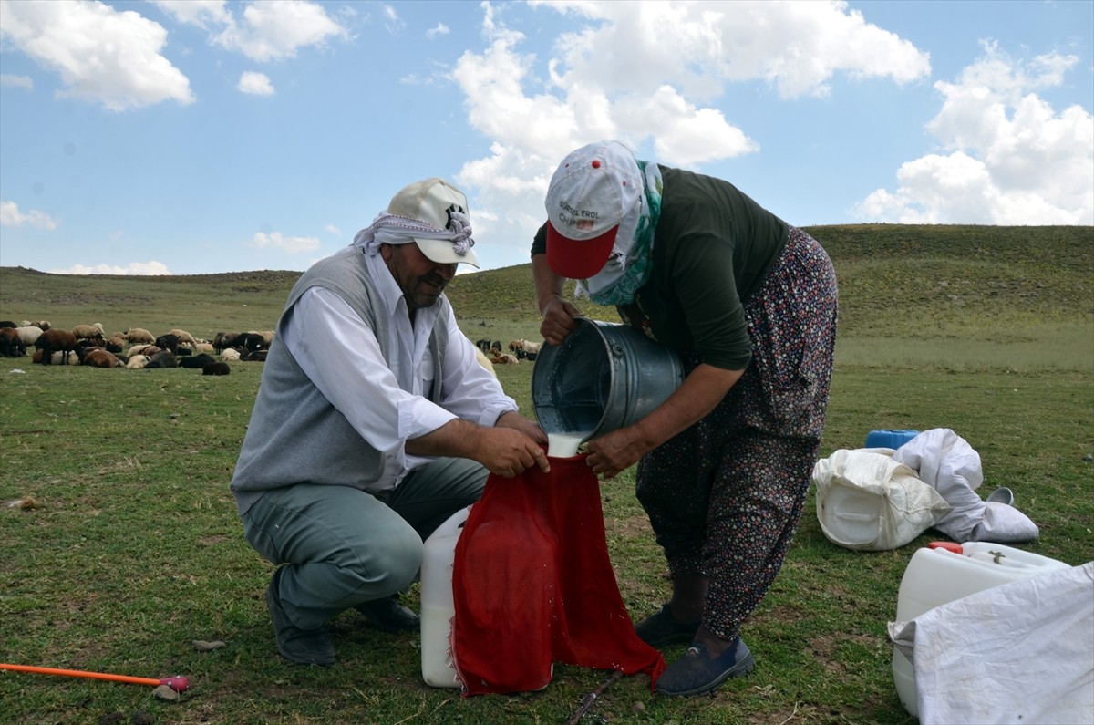 Muş'un Varto ilçesinde berivanlar (süt sağan kadın), sıcak havaya rağmen her gün atlarla yaklaşık...