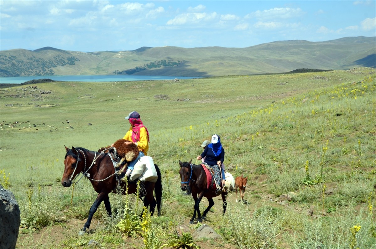 Muş'un Varto ilçesinde berivanlar (süt sağan kadın), sıcak havaya rağmen her gün atlarla yaklaşık...