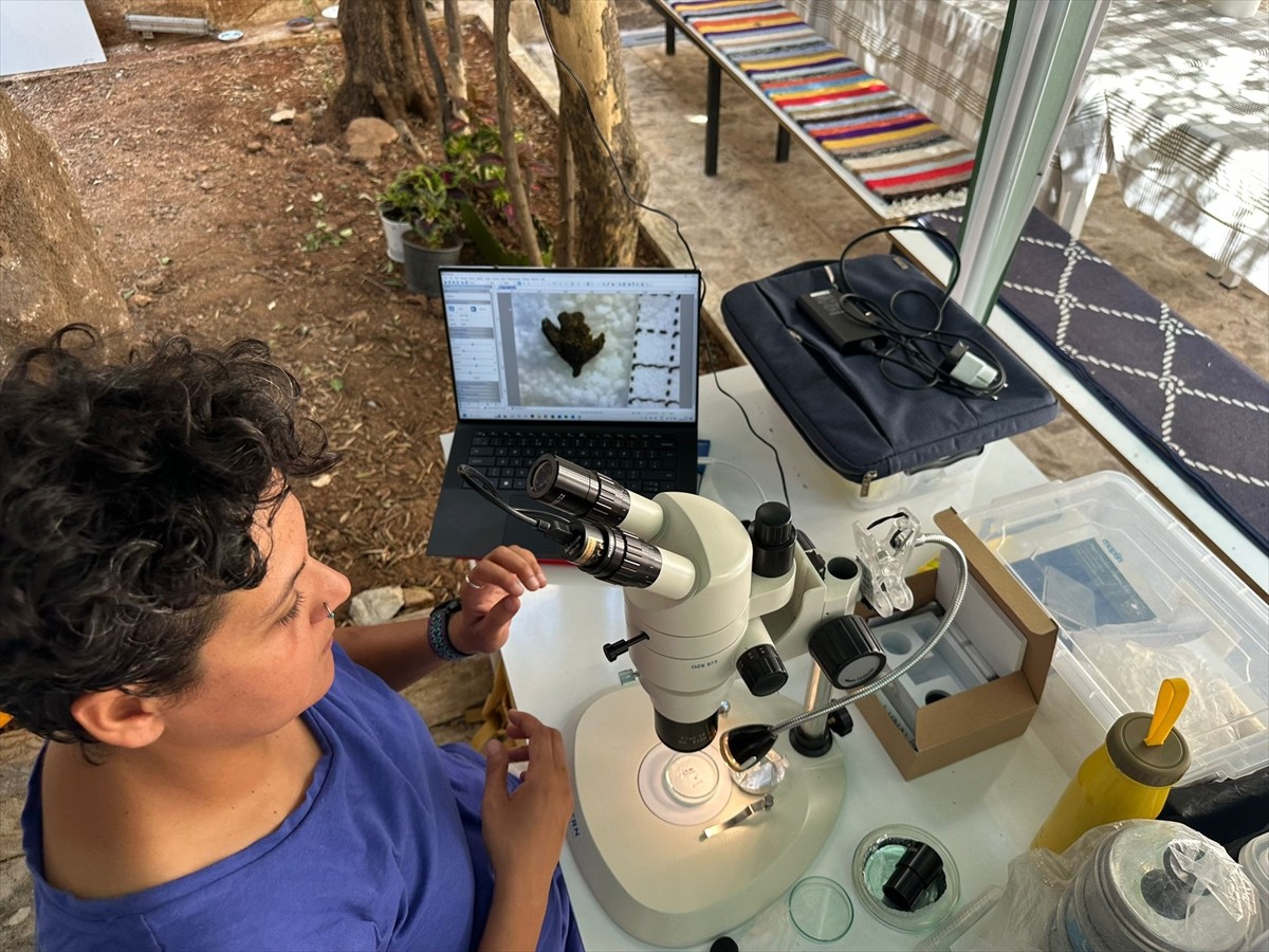 Şanlıurfa'da "Taş Tepeler Projesi" kapsamında, aralarında Göbeklitepe ve Karahantepe'nin de...