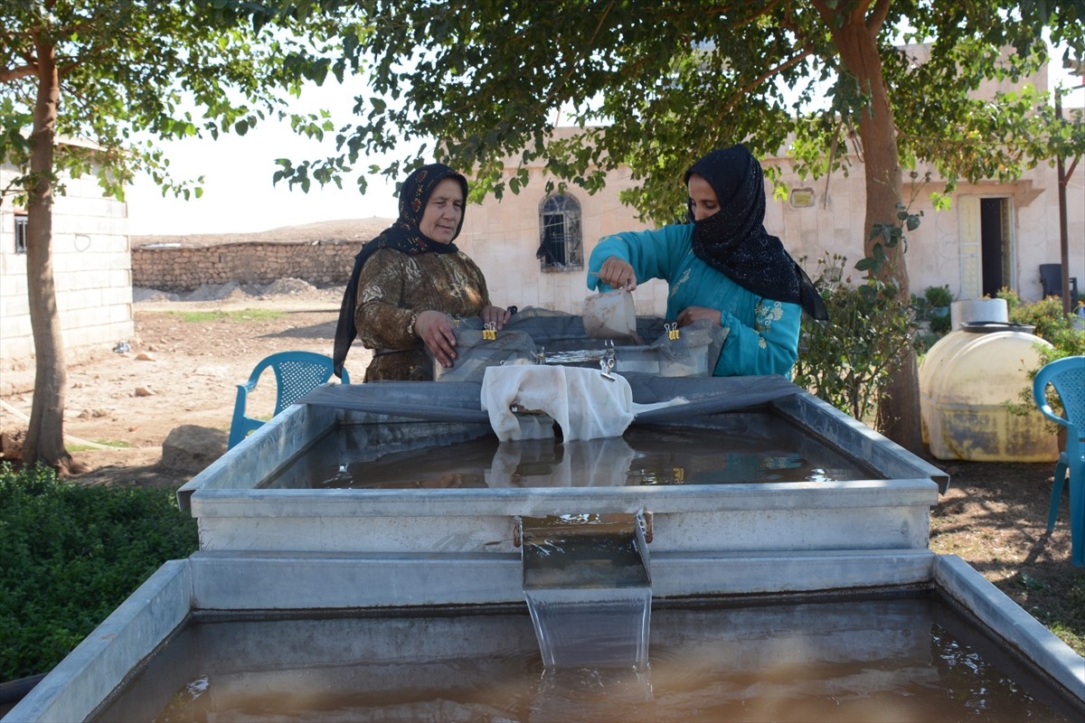 Şanlıurfa'da "Taş Tepeler Projesi" kapsamında, aralarında Göbeklitepe ve Karahantepe'nin de...