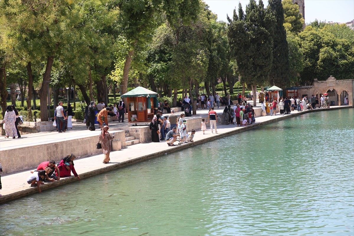 Şanlıurfa'da sıcak hava etkisini sürdürdü. Kentte vatandaşlar, parklarda ve tarihi Balıklıgöl...