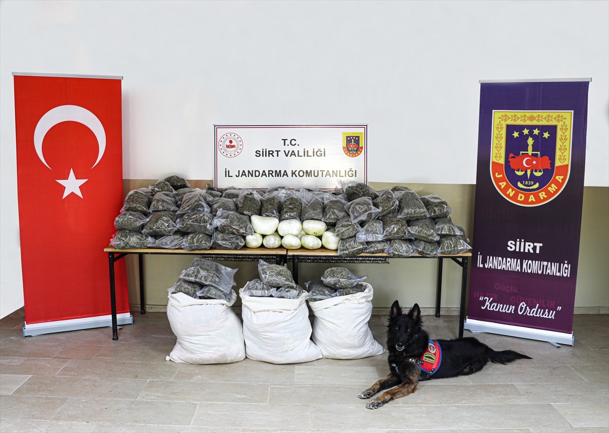 Siirt'te düzenlenen operasyonda 170 kilogram esrar ele geçirildi, 3 şüpheli yakalandı....