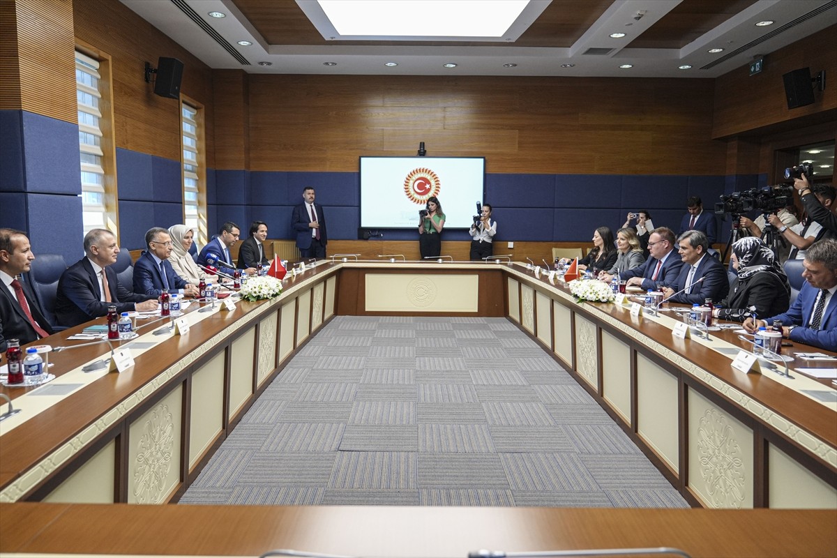 TBMM Dışişleri Komisyonu Başkanı ve AK Parti Ankara Milletvekili Fuat Oktay (solda), Karadağ...