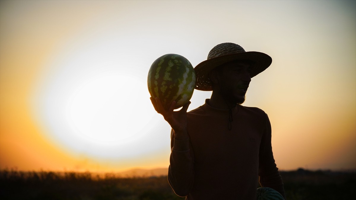 Terör örgütü DEAŞ'in işgaliyle Musul'un Sincar ilçesinden kaçmak zorunda kalan ve Duhok'taki...