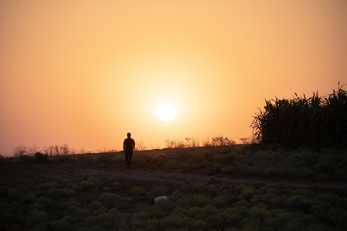 Terör örgütü DEAŞ'in işgaliyle Musul'un Sincar ilçesinden kaçmak zorunda kalan ve Duhok'taki...