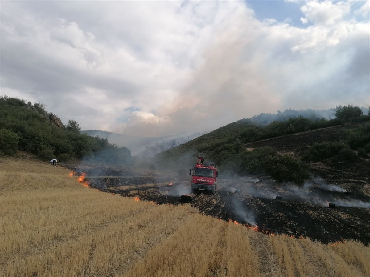 Tokat'ın Erbaa ilçesinde ormanlık alanda çıkan yangının Orman Bölge Müdürlüğü ve itfaiye...