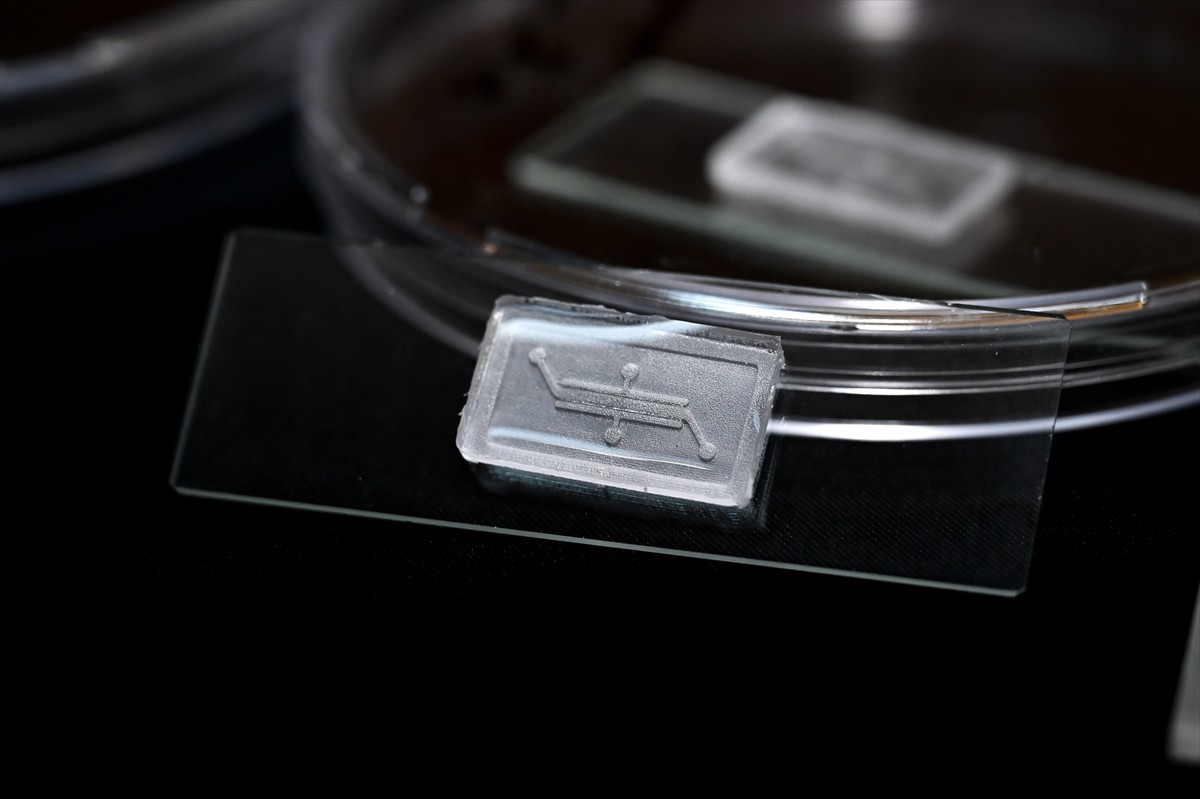 TÜBİTAK desteğiyle, ODTÜ MEMS Merkezi liderliğinde 19 üniversite ve araştırma merkezi ile 7 özel...