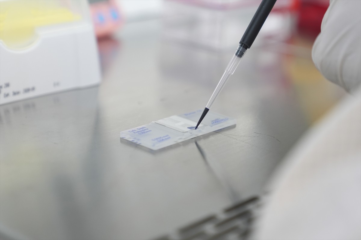 TÜBİTAK desteğiyle ODTÜ Mikro Elektromekanik Sistemler (MEMS) Merkezi liderliğinde 19 üniversite...