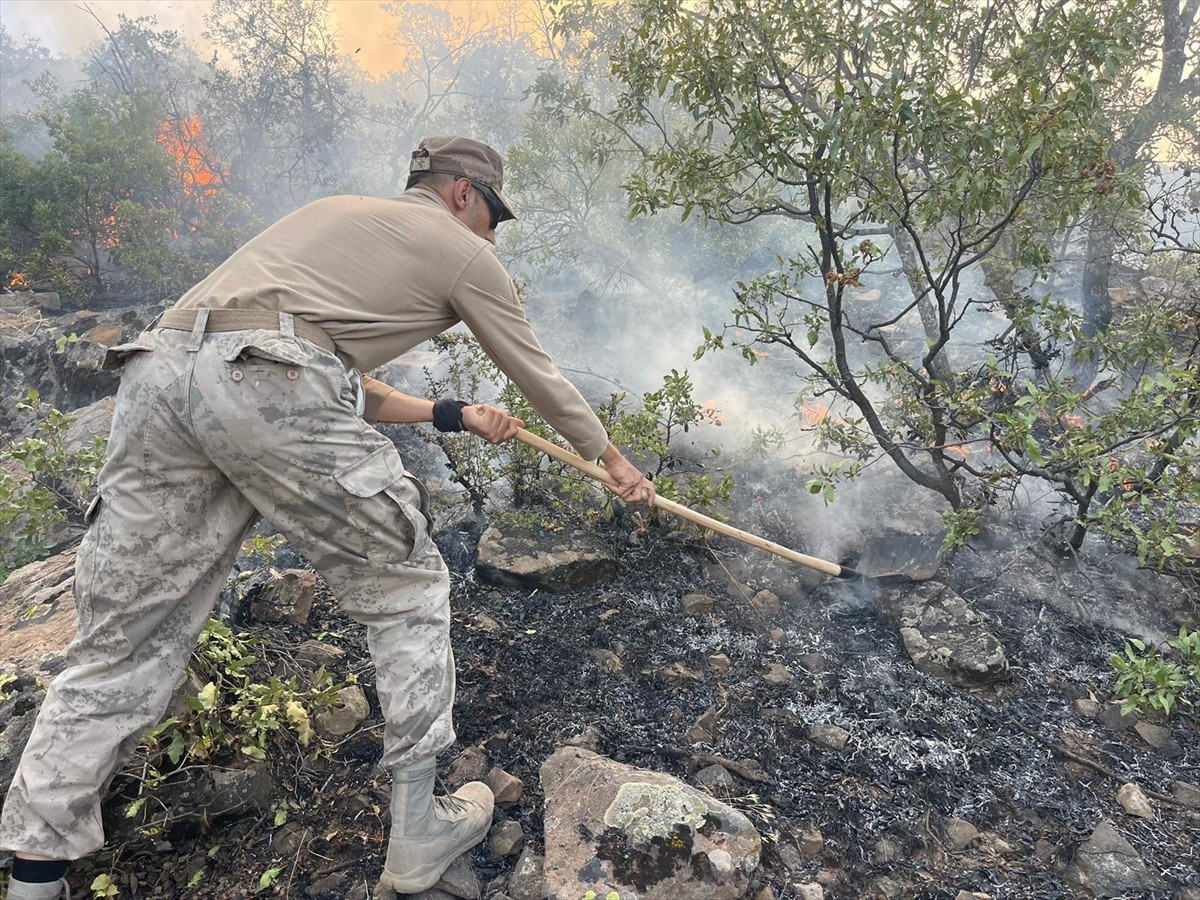 Tunceli'nin Nazımiye ilçesinde ormanlık alanda çıkan örtü yangının söndürülmesi için başlatılan...
