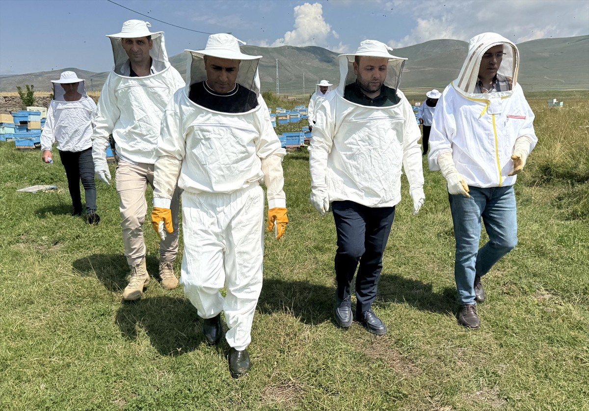 Türk Patent ve Marka Kurumunca coğrafi işaretle tescillenen "Ardahan çiçek balı"nın Kafkas Arısı...