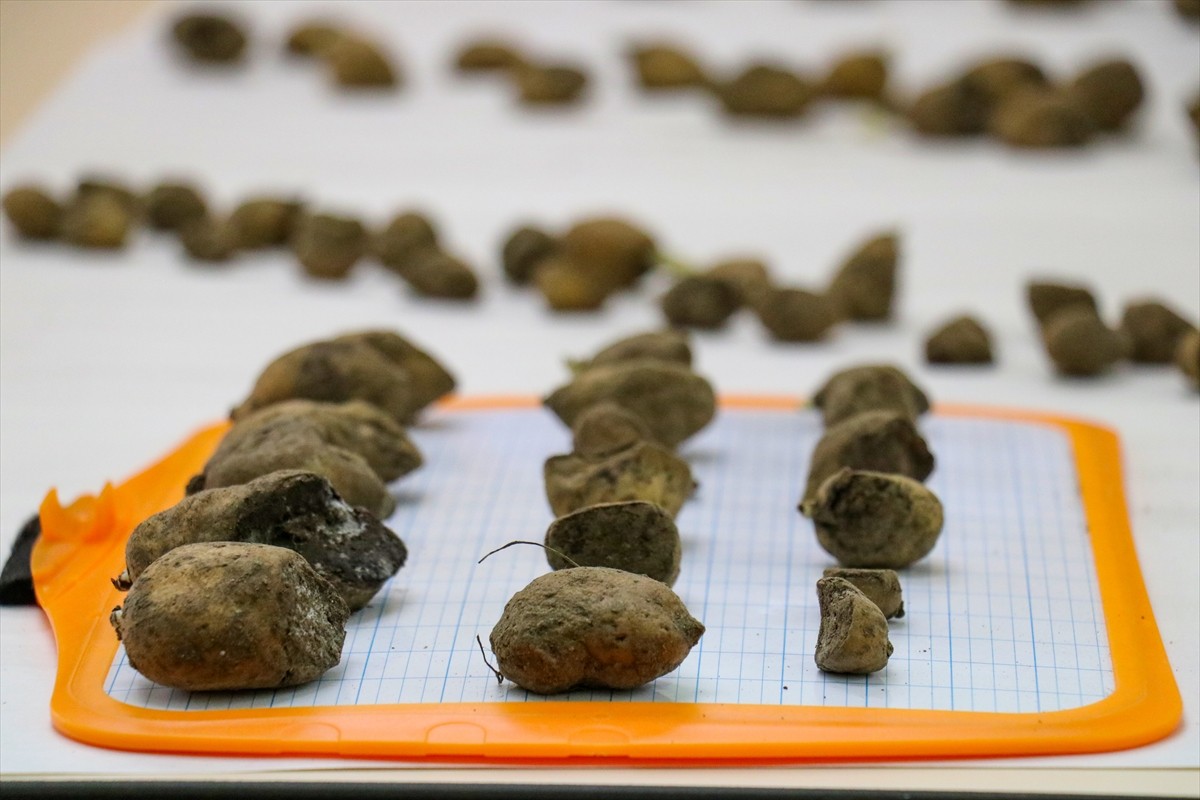 Van'ın Muradiye ilçesinde 6 şüpheli tarafından sökülerek kent dışına çıkarılmak istenirken İl...