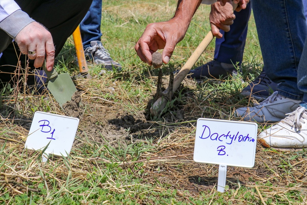Van'ın Muradiye ilçesinde 6 şüpheli tarafından sökülerek kent dışına çıkarılmak istenirken İl...