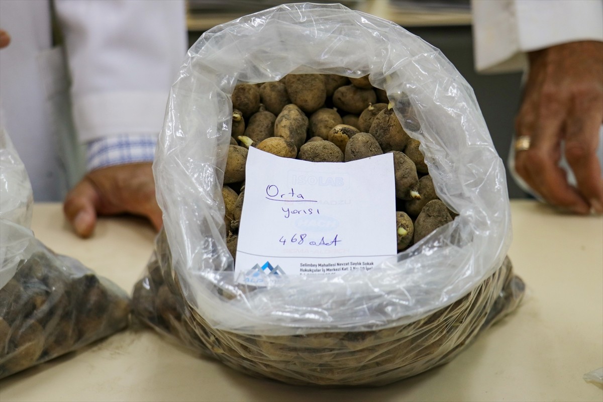 Van'ın Muradiye ilçesinde 6 şüpheli tarafından sökülerek kent dışına çıkarılmak istenirken İl...