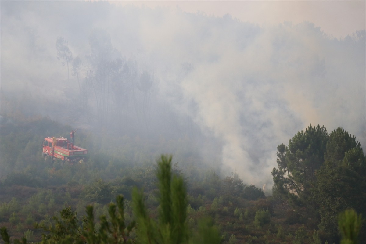 Yalova'nın Armutlu ilçesinde ormanlık alanda çıkan yangına havadan ve karadan müdahale edildi....