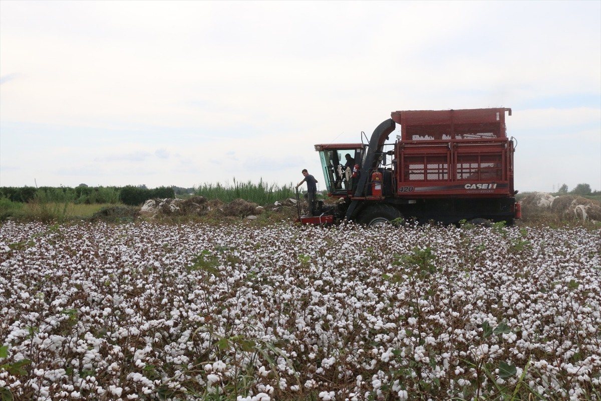 Antalya Pamuk ve Narenciye Tarım Satış Kooperatifleri Birliği (ANTBİRLİK) Yönetim Kurulu Başkanı...
