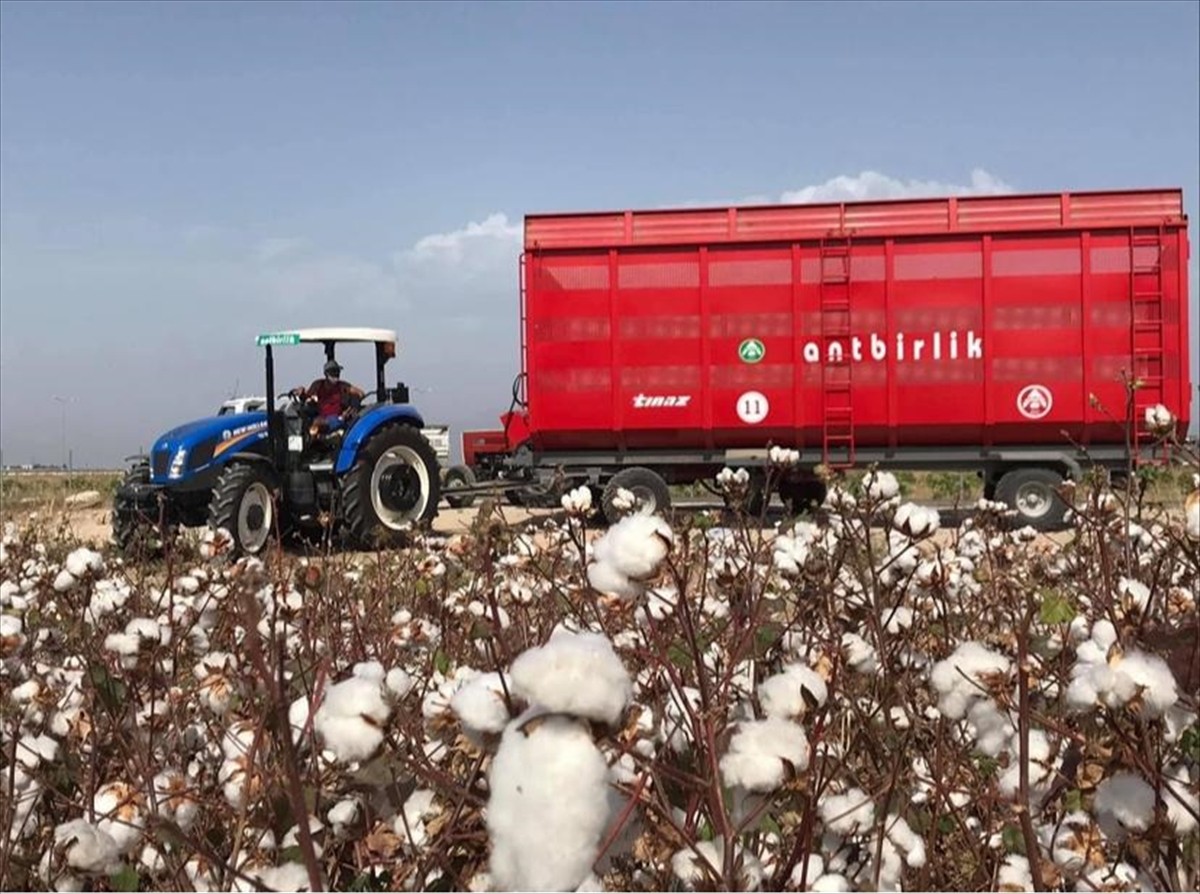 Antalya Pamuk ve Narenciye Tarım Satış Kooperatifleri Birliği (ANTBİRLİK) Yönetim Kurulu Başkanı...