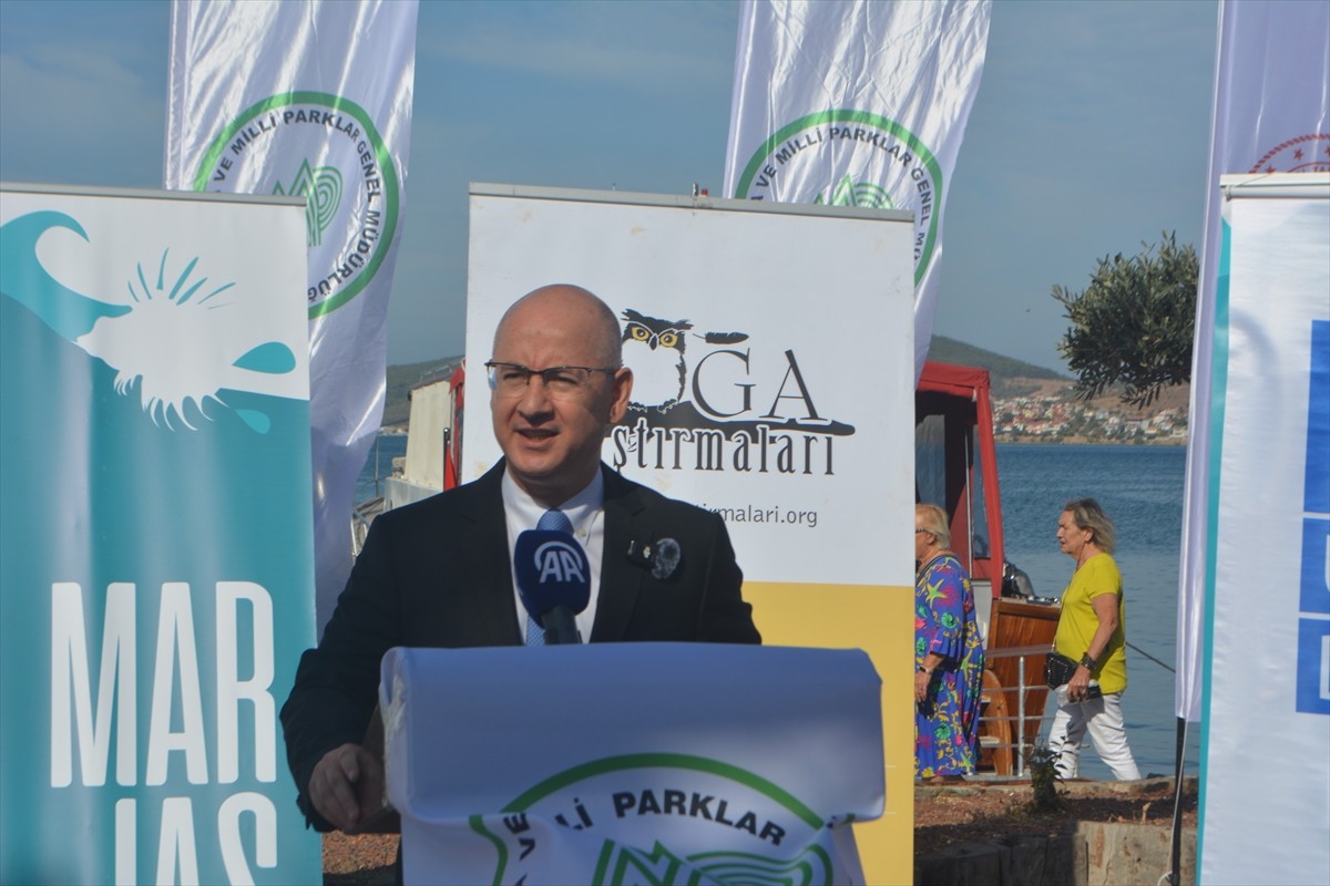 Balıkesir'in Ayvalık ilçesinde yeni yerleştirilen 50 tekne bağlama şamandırasıyla yerel deniz...