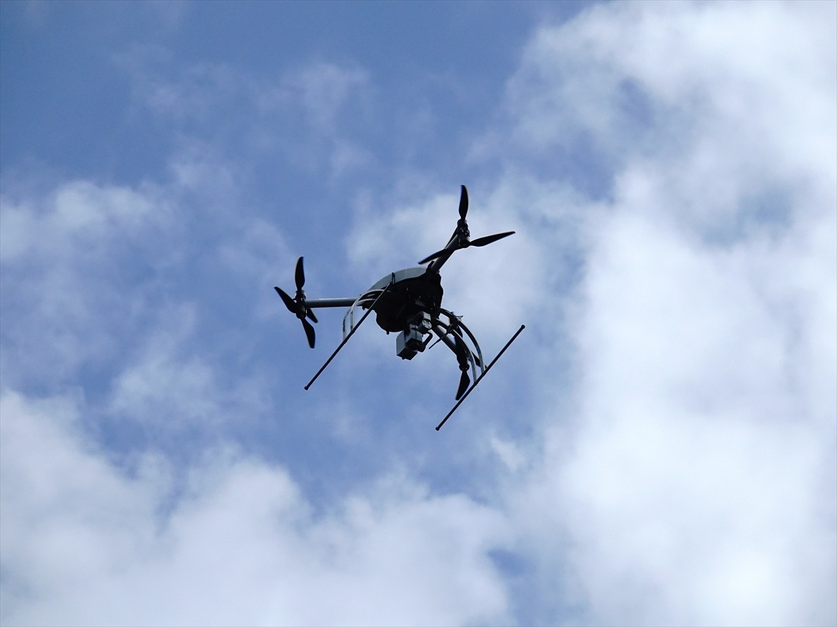 Türkiye'nin zeytinyağı üretiminin yüzde 10'unun karşılandığı Balıkesir'de zeytin hasadının...