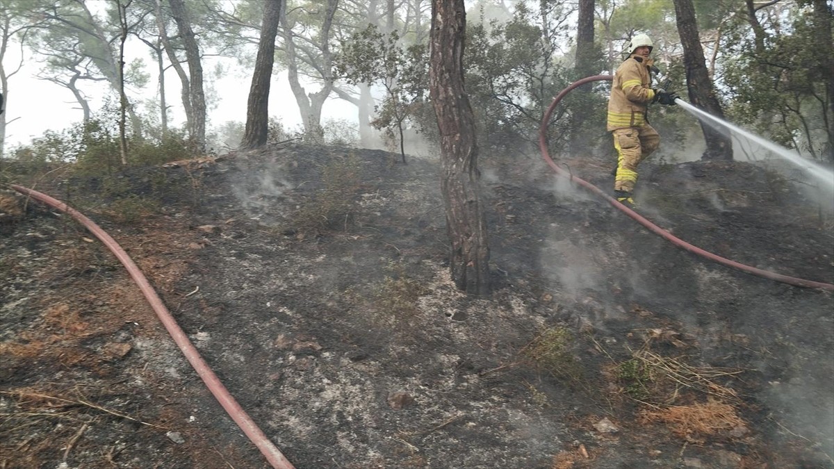 Heybeliada'da ormanlık alanda çıkan yangın itfaiye ekiplerinin müdahalesiyle kontrol altına...