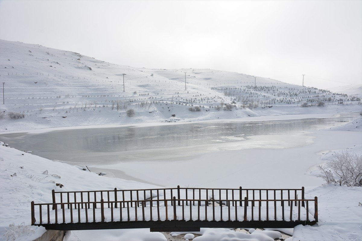 Tokat’ın Başçiftlik ilçesinde bulunan Üçoluk Göleti’nin yüzeyi, kar yağışı ve soğuk havanın...