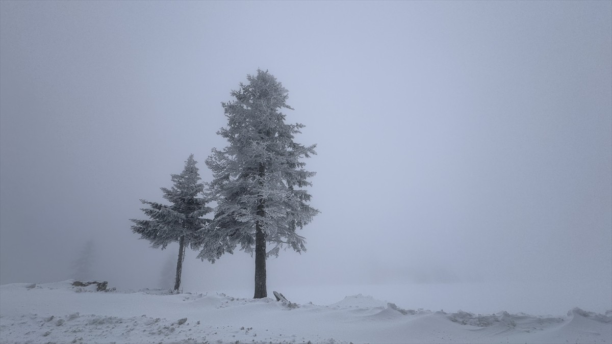 Türkiye'nin önemli kayak ve kış turizm merkezlerinden Uludağ'da kar yağışı etkili oldu.