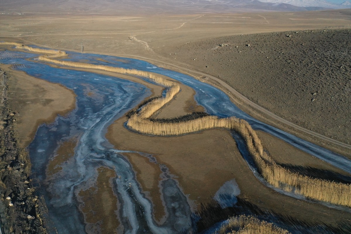 Ağrı'nın Doğubayazıt ilçesinde geniş alana yayılan sulak alanlar buzla kaplandı.