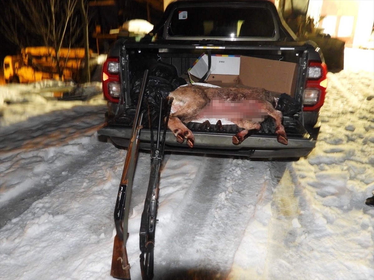 Artvin'in Şavşat ilçesinde, koruma altındaki yaban keçilerini avladıkları tespit edilen 2 kişiye...
