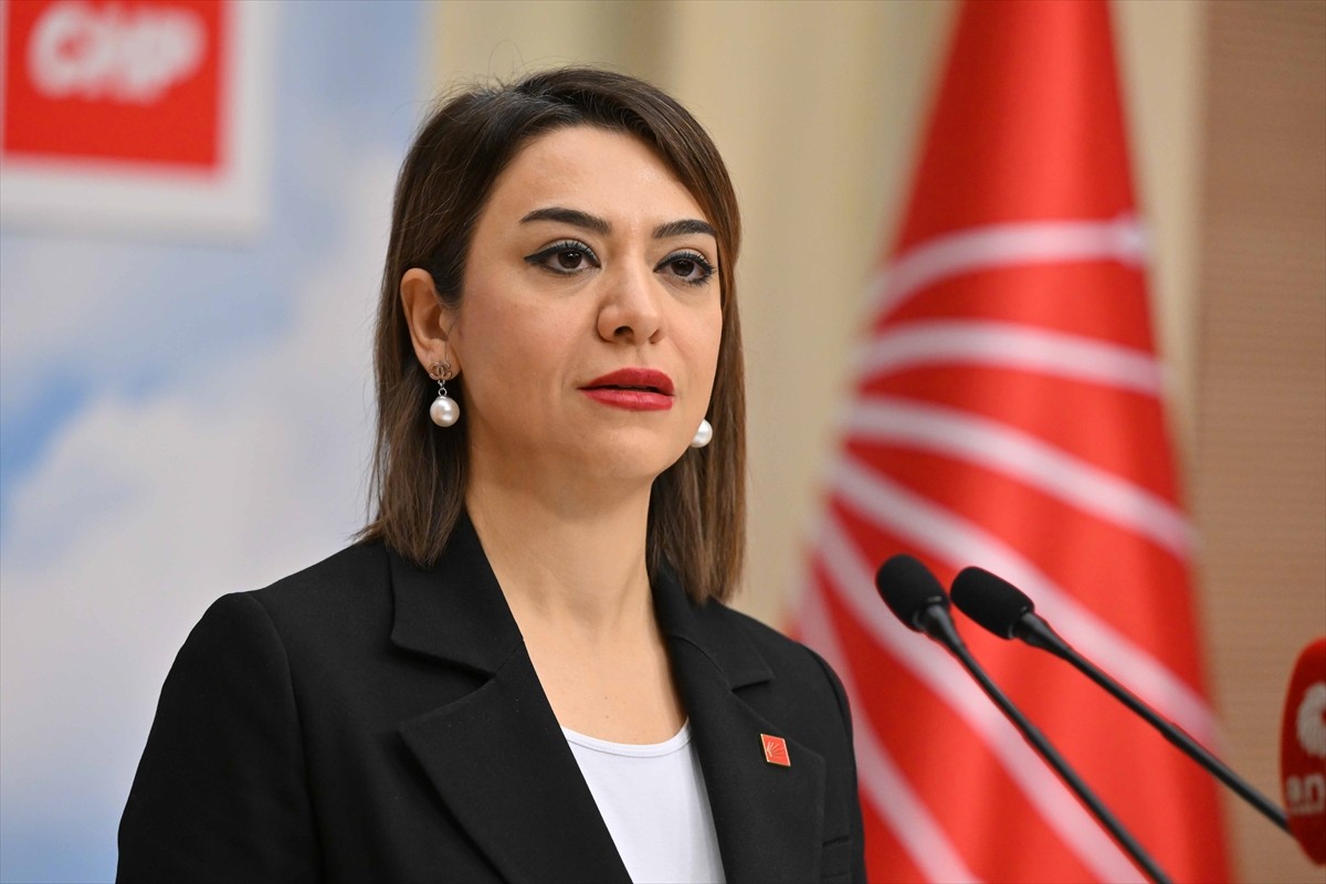CHP Genel Başkan Yardımcısı Gamze Taşcıer, parti genel merkezinde basın toplantısı...