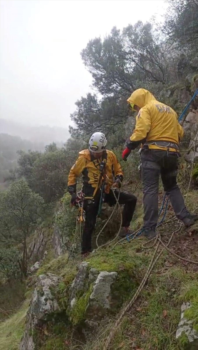 Denizli'nin Güney ilçesinde kayalıklarda mahsur kalan keçiyi AFAD ve gönüllü ekipler...