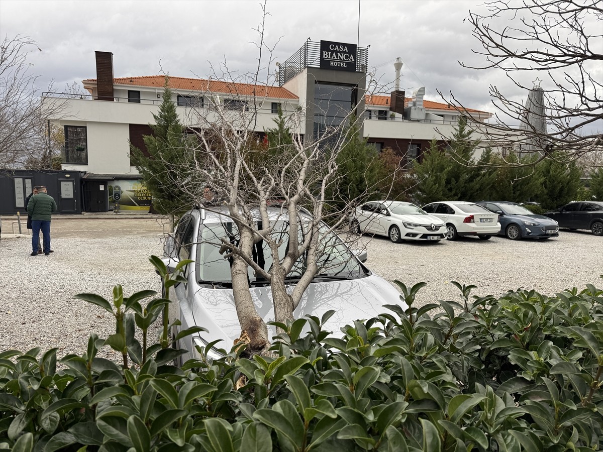 Denizli'nin Merkezefendi ilçesinde fırtına hayatı olumsuz etkiledi. Fırtınada devrilen ağaç...