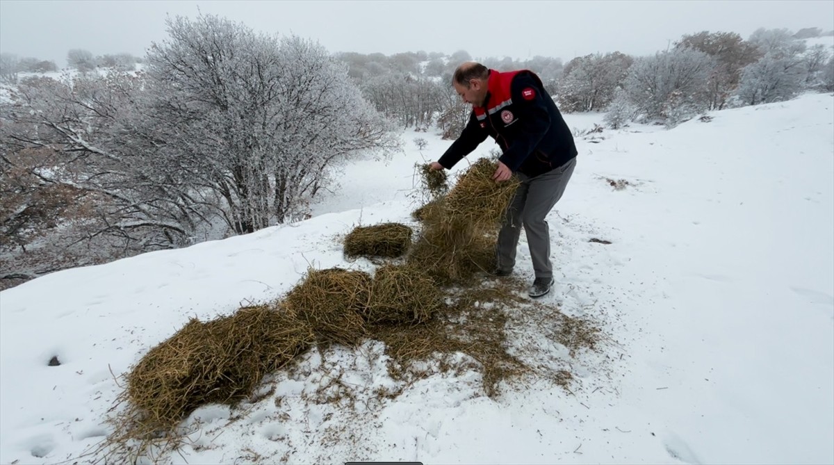 Erzincan'ın karla kaplı kırsalına, yabani hayvanların beslenmesi için yem bırakıldı.