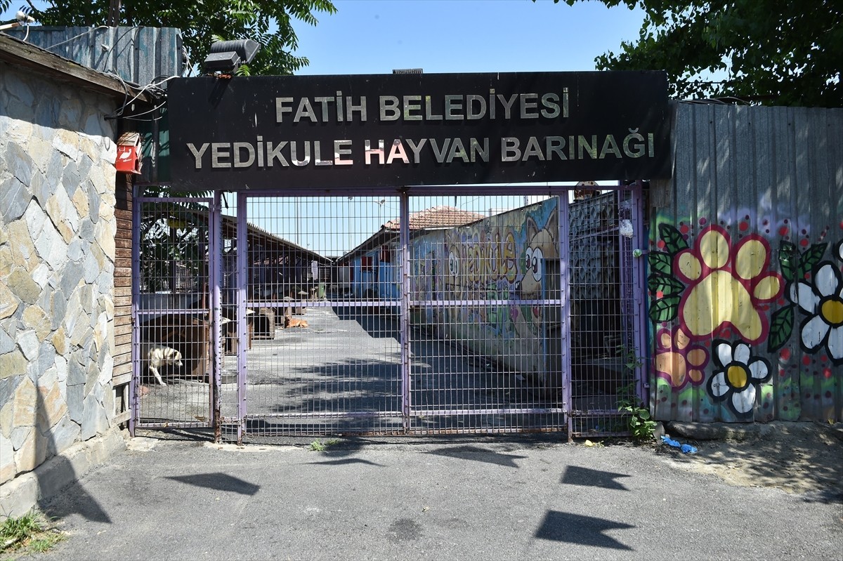 Fatih Belediyesince yeniden inşa edilen ve birinci etabı tamamlanan Yedikule Hayvan Barınağı'nda...