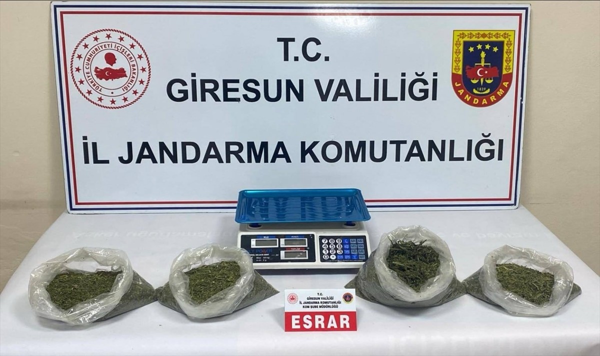 Giresun'un Bulancak ilçesinde düzenlenen uyuşturucu operasyonunda 2 şüpheli tutuklandı....