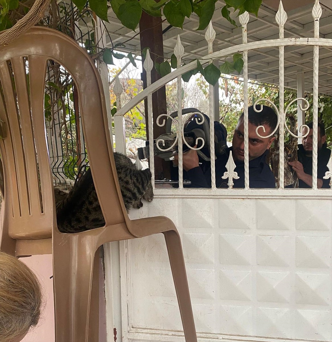 Hatay'ın Defne ilçesinde bir evin korkuluk demirlerine patisi sıkışan kediyi itfaiye ekipleri...