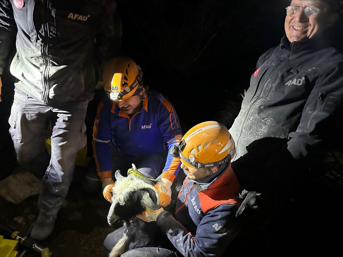 İzmir'in Torbalı ilçesinde kayalıklarda mahsur kalan keçi, AFAD ekiplerince kurtarıldı.