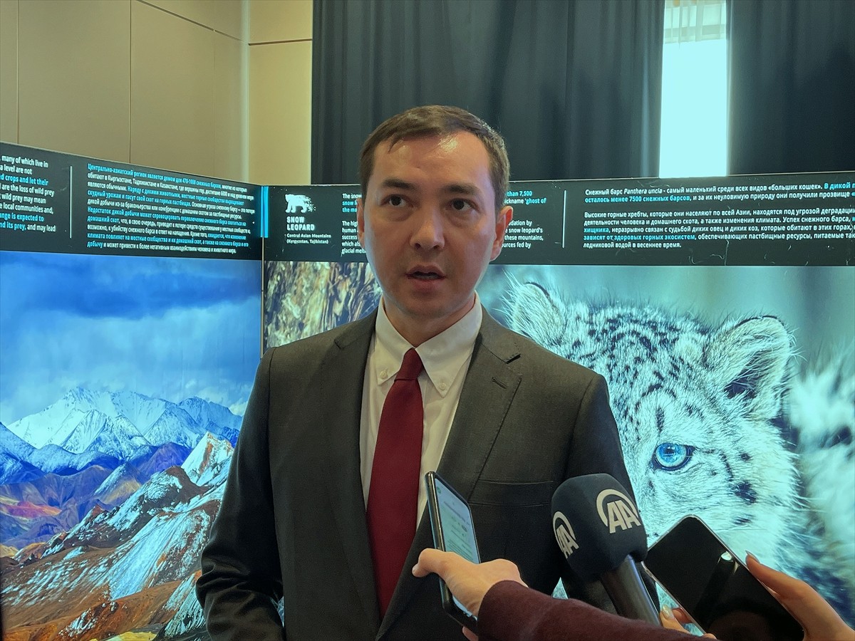 Kırgızistan'da, 23 Ekim'in Uluslararası Kar Leoparı Günü ilan edilmesi nedeniyle kutlama etkinliği...