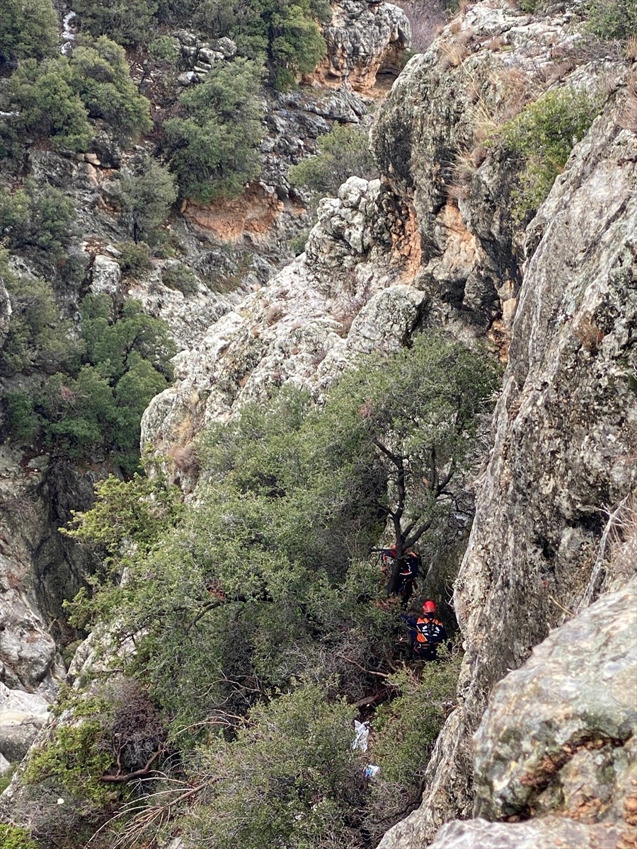 Mersin'in Silifke ilçesinde uçurumda 6 gün mahsur kalan keçi itfaiye ekiplerince kurtarıldı.