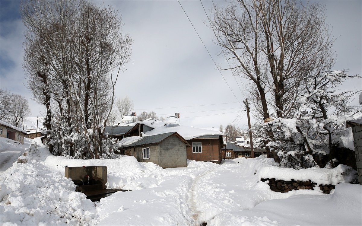 Muş'ta etkili olan kar yağışının ardından yüksek rakımdaki köyler beyaza büründü. Kentte, 3 gün...