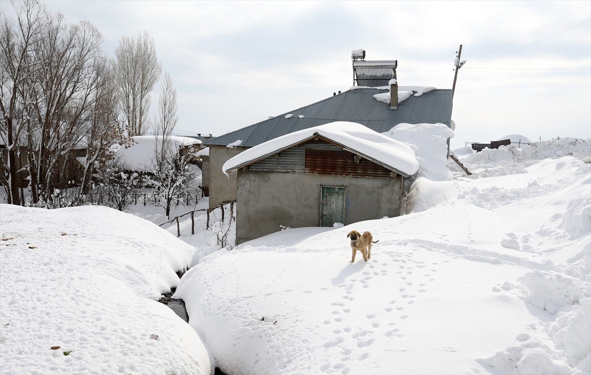 Muş'ta etkili olan kar yağışının ardından yüksek rakımdaki köyler beyaza büründü. Kentte, 3 gün...