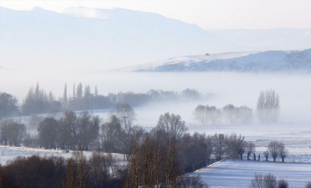 Sivas'ın Hafik ilçesinde soğuk hava ve sis etkili oldu.