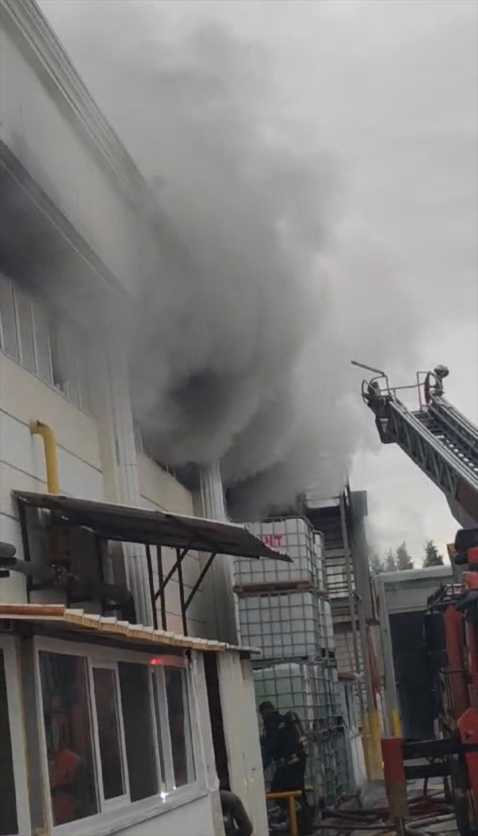 Tekirdağ'ın Ergene ilçesindeki bir tül fabrikasında çıkan yangın itfaiye ekiplerince...