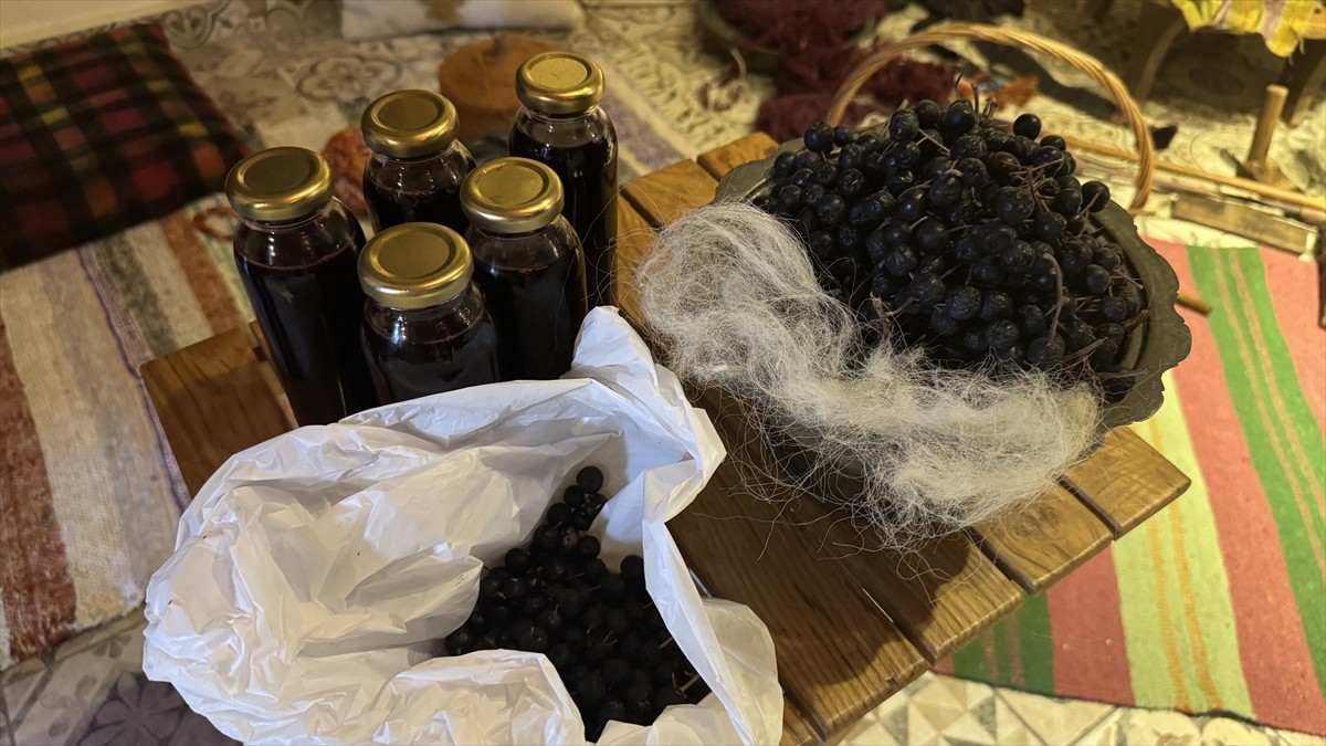 Trabzon'da, antioksidan özelliği dolayısıyla "süper meyve" olarak da adlandırılan aronyadan elde...