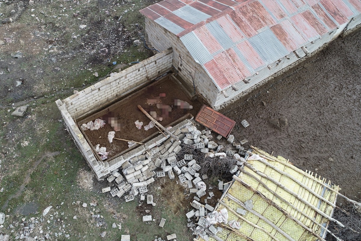 Van'ın Çatak ilçesinin Konalga Mahallesi'nde Hıvzullah Karakaya'ya ait ahırın çatısı ve duvarının...