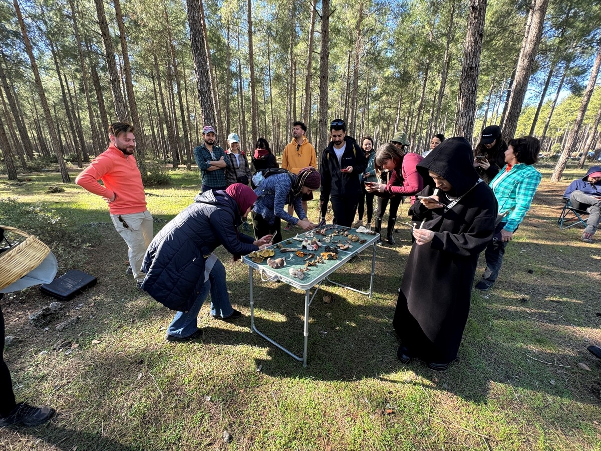 Antalya'da bir araya gelen yaklaşık 20 mantar meraklısı, bölgede yetişen türleri mantar uzmanı...