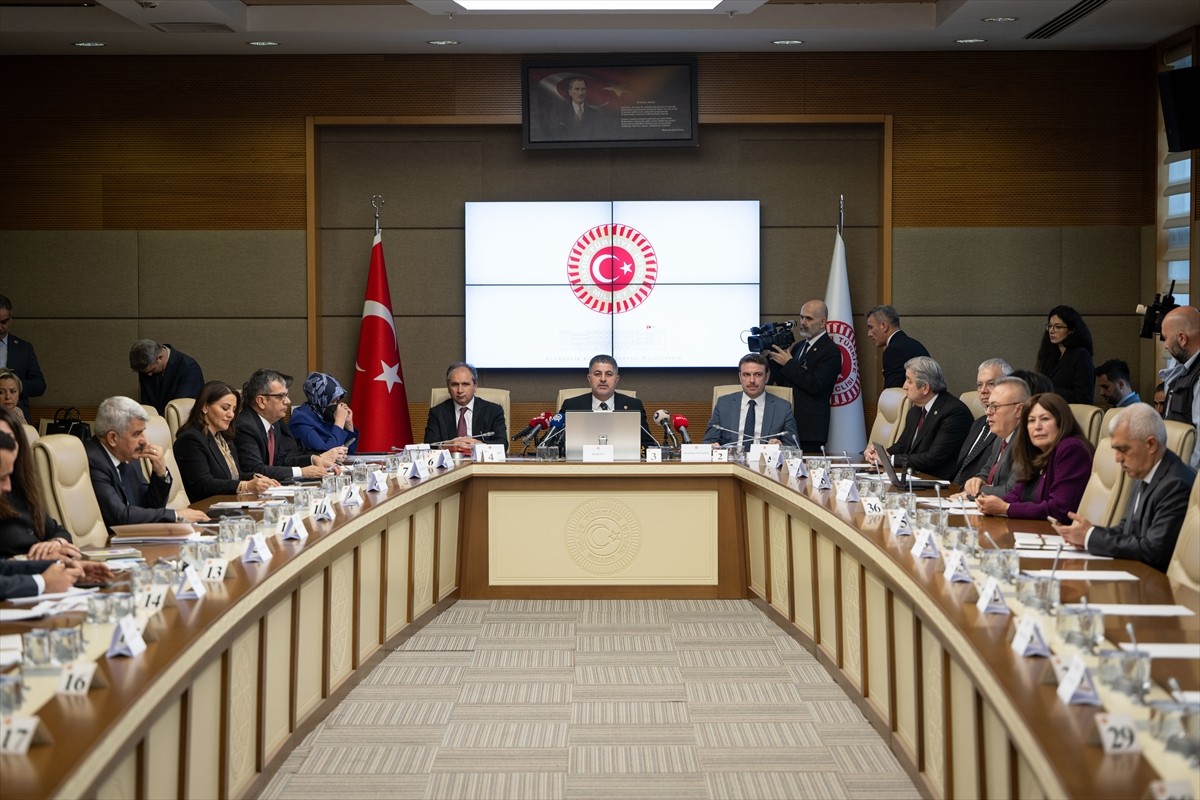 Bazı Özel Sağlık Kuruluşlarında Yaşanan Bebek Ölümlerinin Tüm Yönleriyle Araştırılması, Özel...