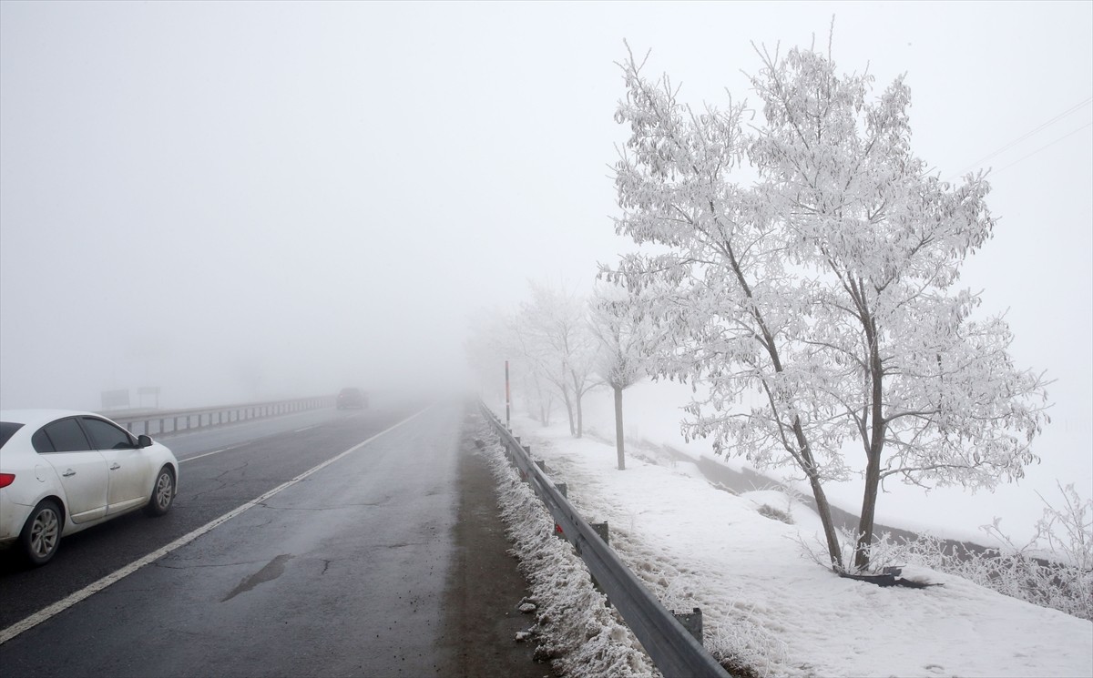 Bitlis'te sis etkili oldu, soğuk hava nedeniyle ağaçlarda kırağı oluştu. Kentteki kar yağışının...