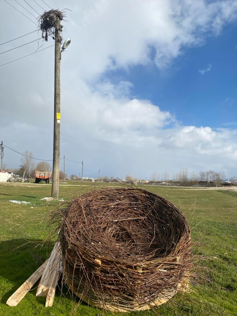 Bolu'da geçen yıl yaralı ve bitkin halde bulunan 260 yaban hayvanına tedavi ve rehabilitasyon...