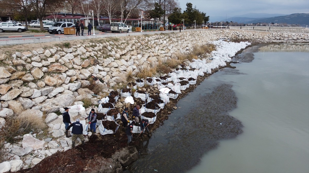 Isparta'daki Eğirdir Gölü'nde özel tasarlanan amfibi araçlarla yapılan ot ve yosun temizliği sona...
